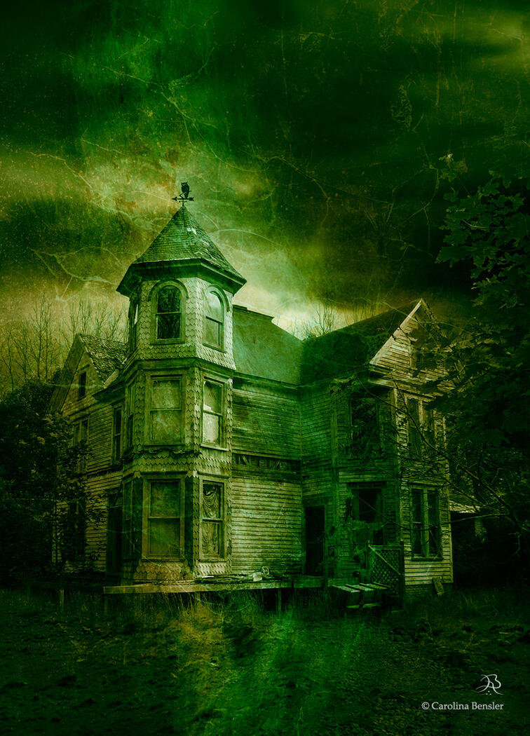 Cover for La Chica Descalza en la Colina de los Arándanos